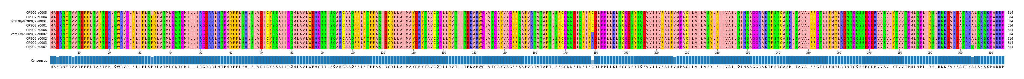 Multiple Alignments (by translate haplotype similarity)