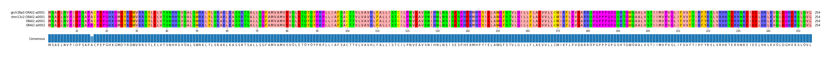 Multiple Alignments (by translate haplotype similarity)