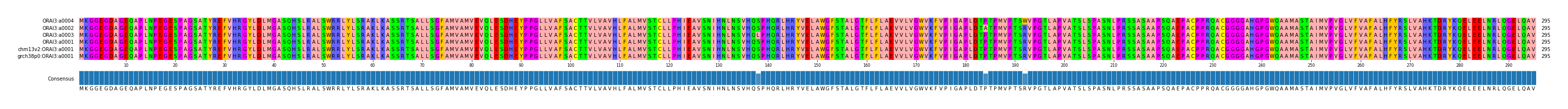 Multiple Alignments (by translate haplotype similarity)
