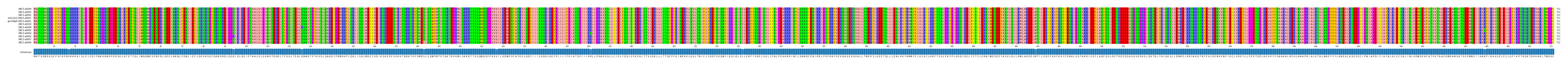 Multiple Alignments (by translate haplotype similarity)