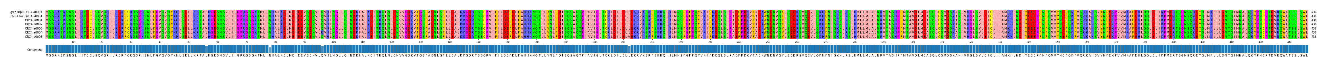 Multiple Alignments (by translate haplotype frequency)