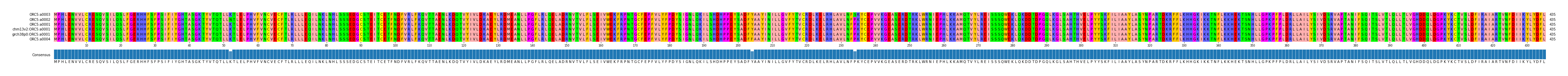 Multiple Alignments (by translate haplotype similarity)
