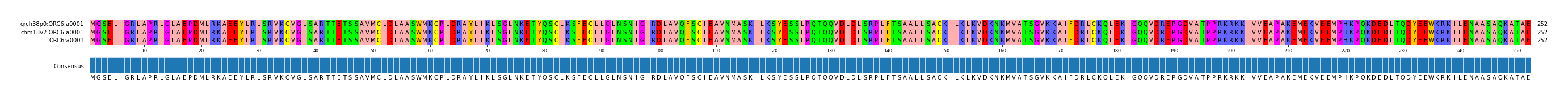 Multiple Alignments (by translate haplotype similarity)