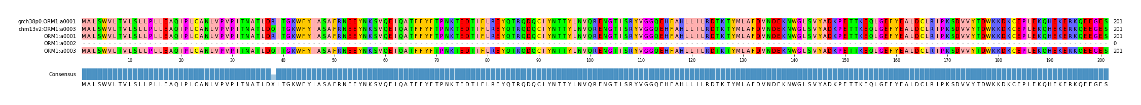 Multiple Alignments (by translate haplotype frequency)