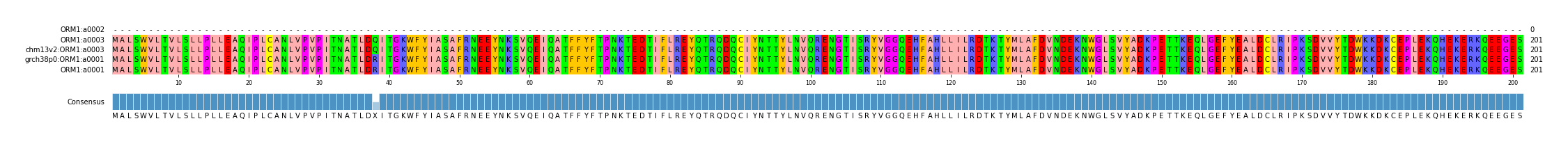 Multiple Alignments (by translate haplotype similarity)