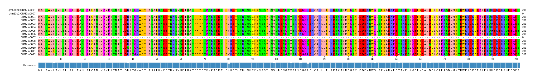Multiple Alignments (by translate haplotype frequency)
