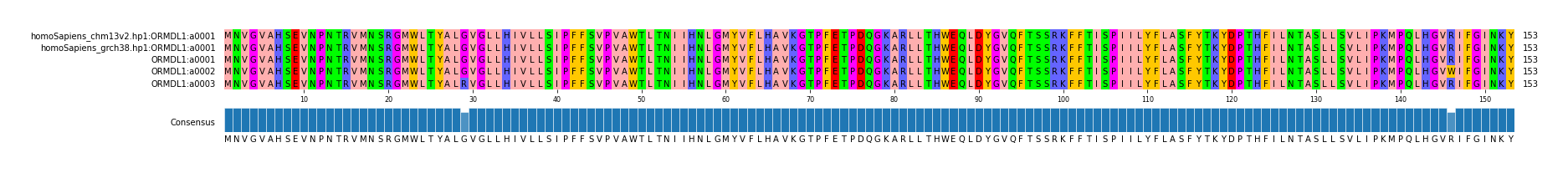 Multiple Alignments (by translate haplotype frequency)