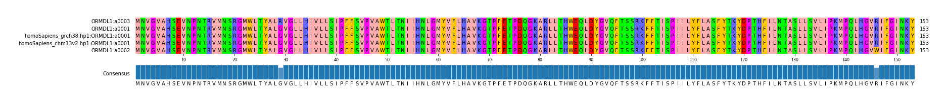 Multiple Alignments (by translate haplotype similarity)