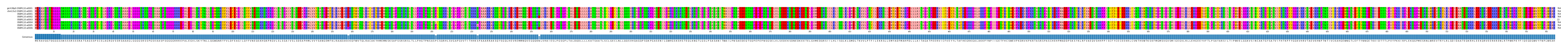Multiple Alignments (by translate haplotype frequency)