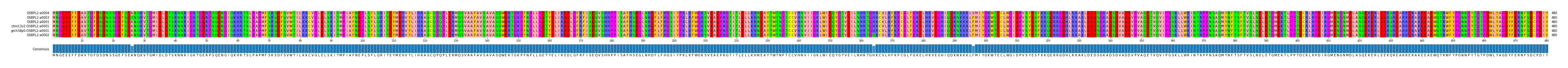 Multiple Alignments (by translate haplotype similarity)