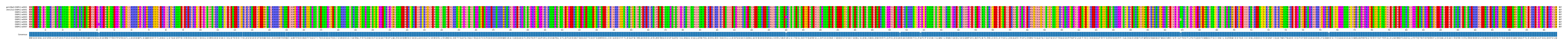 Multiple Alignments (by translate haplotype frequency)