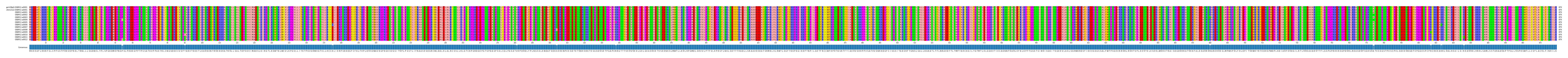 Multiple Alignments (by translate haplotype frequency)