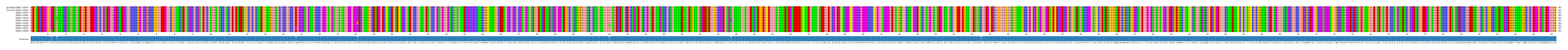 Multiple Alignments (by translate haplotype frequency)