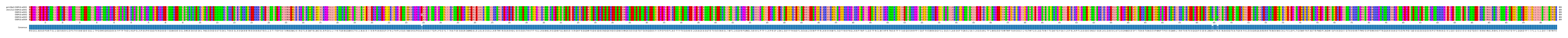 Multiple Alignments (by translate haplotype frequency)