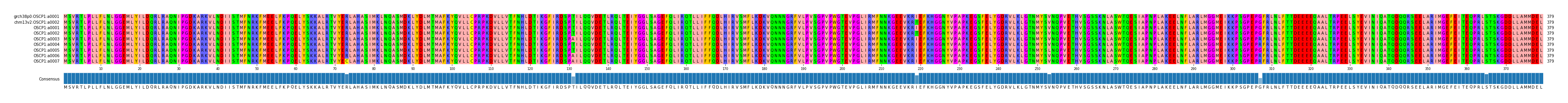 Multiple Alignments (by translate haplotype frequency)
