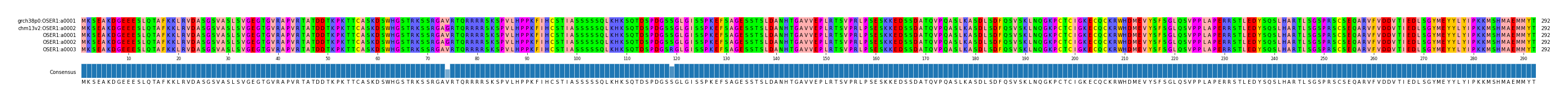 Multiple Alignments (by translate haplotype frequency)