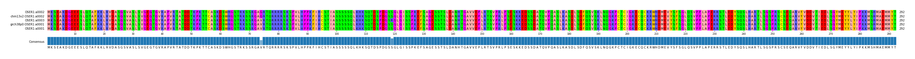Multiple Alignments (by translate haplotype similarity)