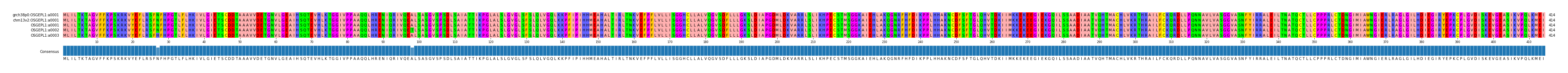 Multiple Alignments (by translate haplotype frequency)