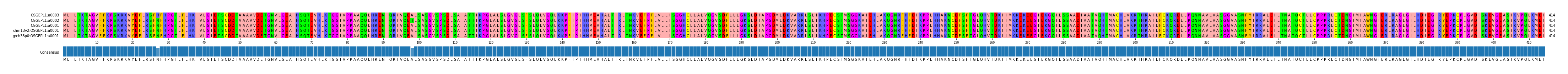 Multiple Alignments (by translate haplotype similarity)