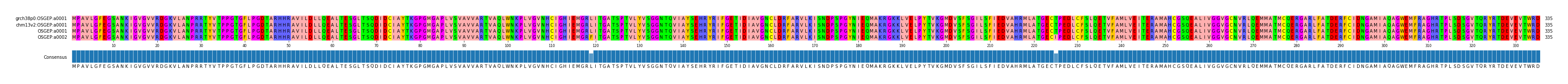 Multiple Alignments (by translate haplotype similarity)