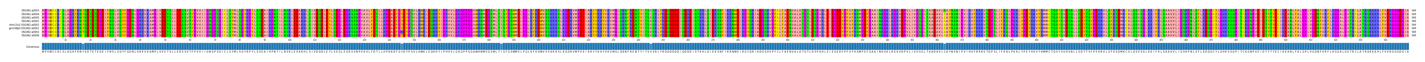 Multiple Alignments (by translate haplotype similarity)