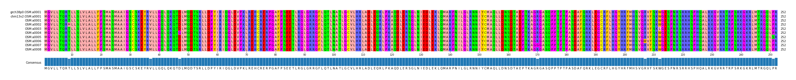 Multiple Alignments (by translate haplotype frequency)