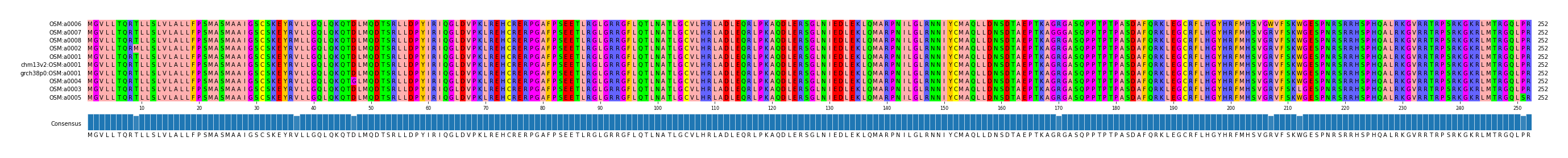 Multiple Alignments (by translate haplotype similarity)