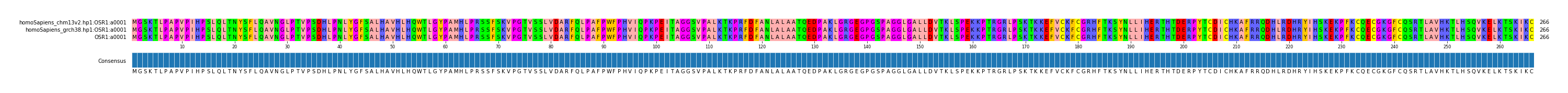 Multiple Alignments (by translate haplotype frequency)