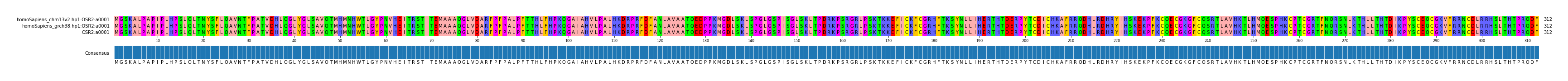Multiple Alignments (by translate haplotype similarity)