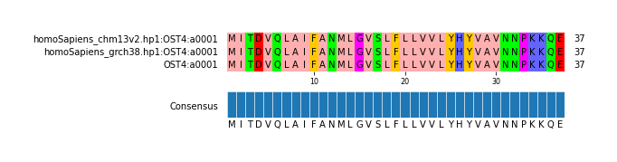 Multiple Alignments (by translate haplotype similarity)
