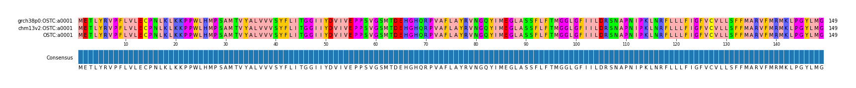 Multiple Alignments (by translate haplotype similarity)