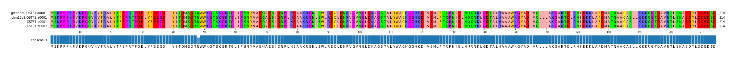 Multiple Alignments (by translate haplotype similarity)