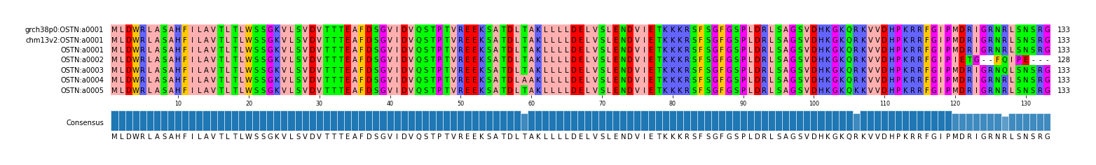 Multiple Alignments (by translate haplotype frequency)