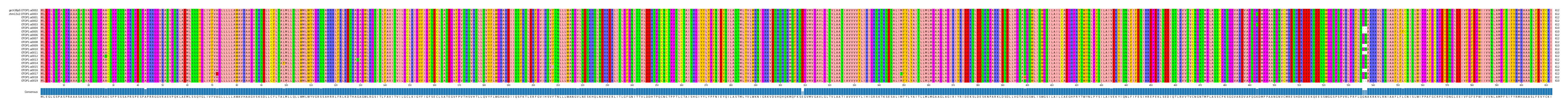 Multiple Alignments (by translate haplotype frequency)