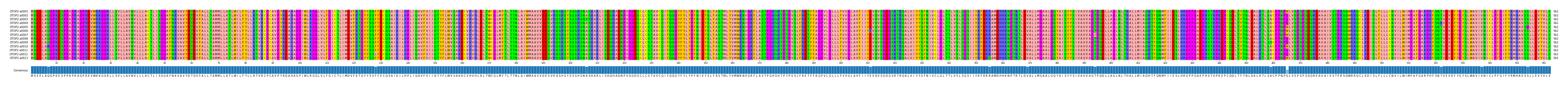 Multiple Alignments (by translate haplotype frequency)