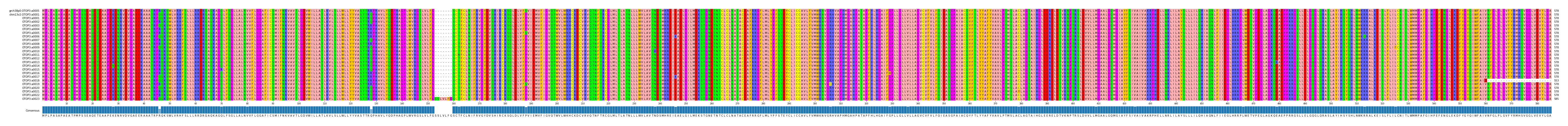 Multiple Alignments (by translate haplotype frequency)
