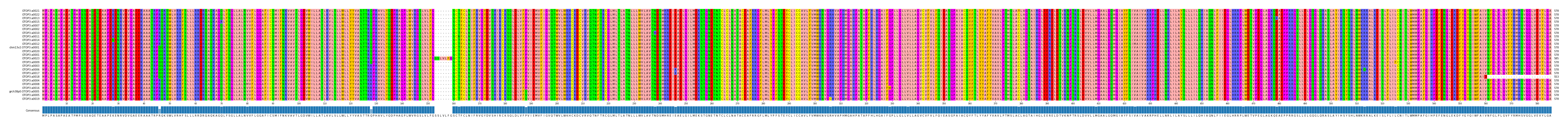Multiple Alignments (by translate haplotype similarity)