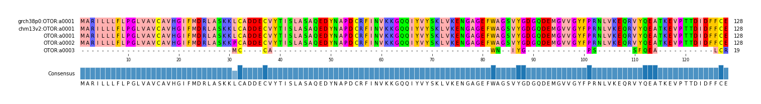 Multiple Alignments (by translate haplotype frequency)