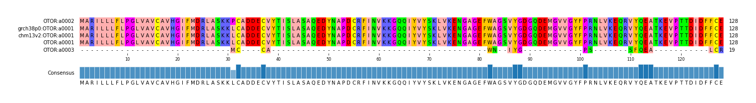 Multiple Alignments (by translate haplotype similarity)