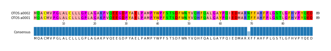 Multiple Alignments (by translate haplotype similarity)