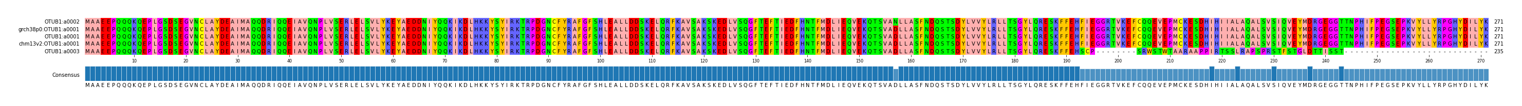 Multiple Alignments (by translate haplotype similarity)