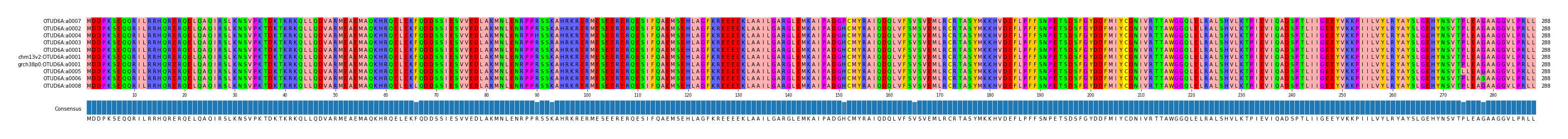 Multiple Alignments (by translate haplotype similarity)