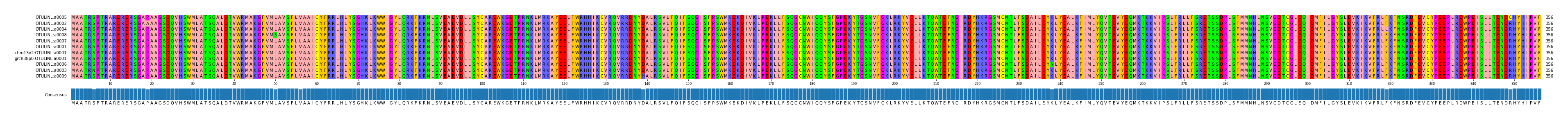 Multiple Alignments (by translate haplotype similarity)