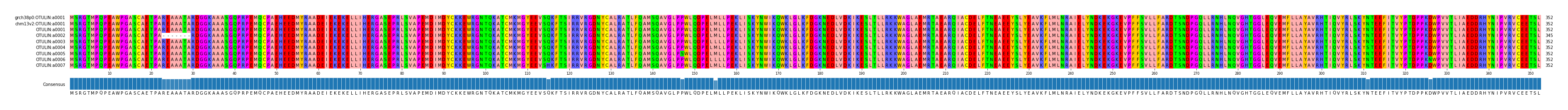 Multiple Alignments (by translate haplotype frequency)