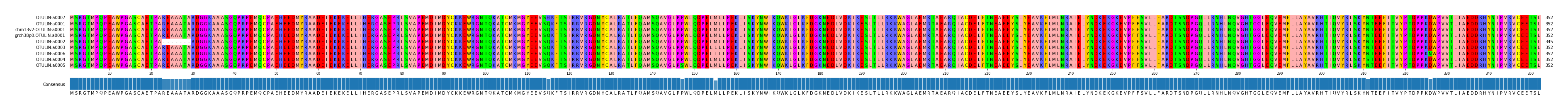 Multiple Alignments (by translate haplotype similarity)