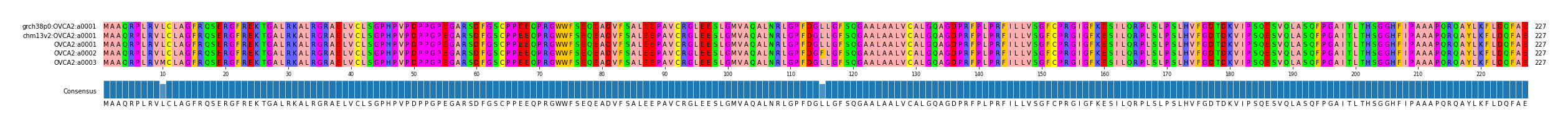 Multiple Alignments (by translate haplotype frequency)