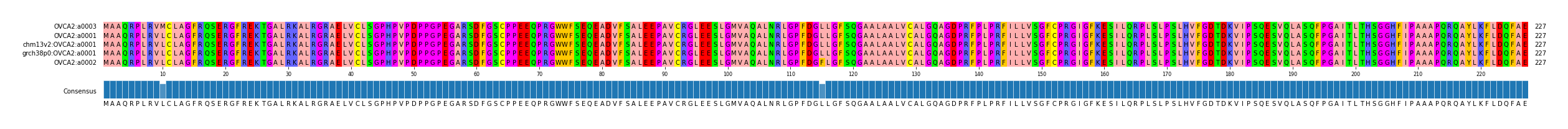 Multiple Alignments (by translate haplotype similarity)