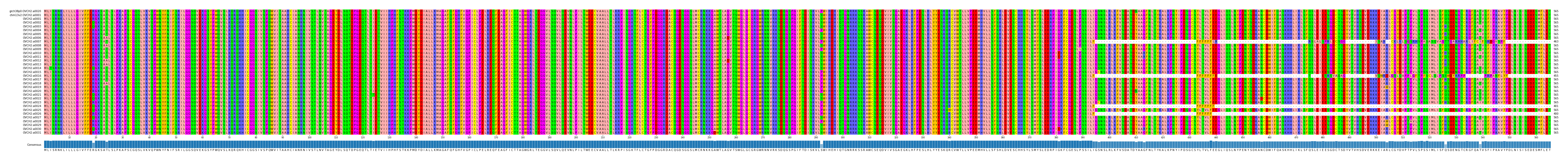 Multiple Alignments (by translate haplotype frequency)