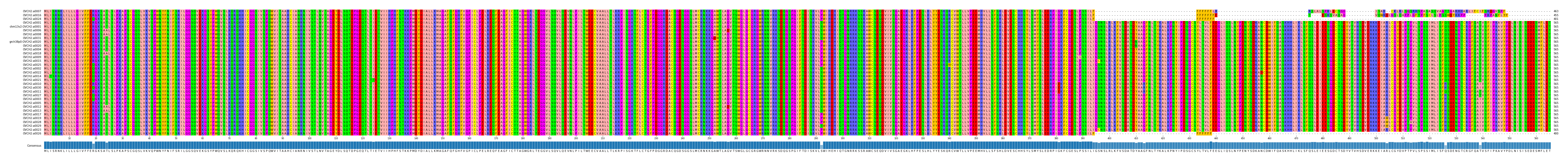 Multiple Alignments (by translate haplotype similarity)
