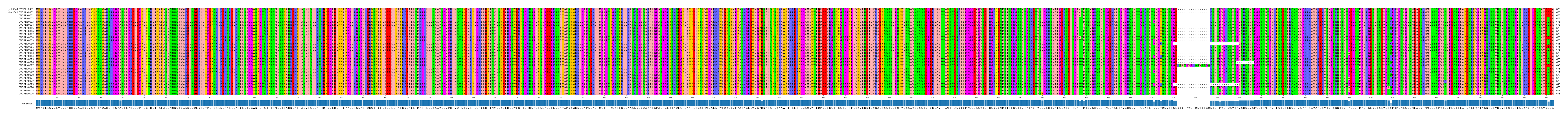 Multiple Alignments (by translate haplotype frequency)